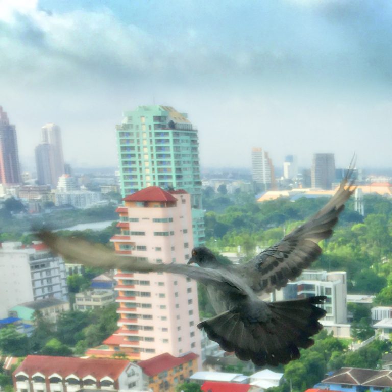 Pictures from Bangkok