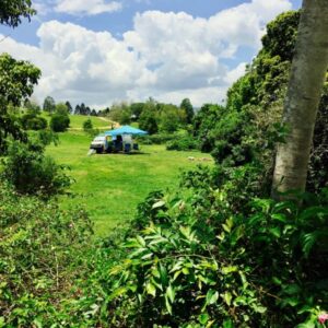 Bluff Creek Campgrounds