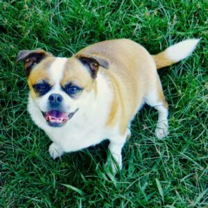 Bluff Creek Campgrounds